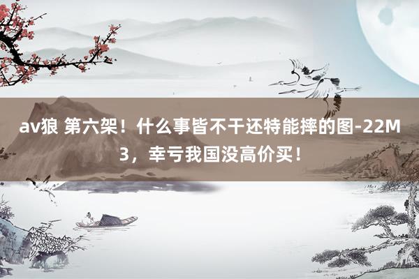 av狼 第六架！什么事皆不干还特能摔的图-22M3，幸亏我国没高价买！