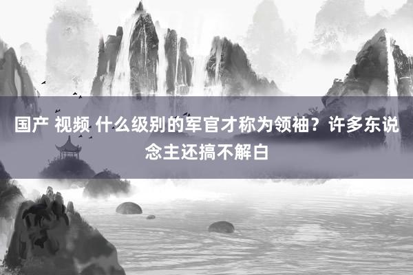 国产 视频 什么级别的军官才称为领袖？许多东说念主还搞不解白