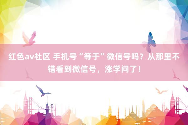红色av社区 手机号“等于”微信号吗？从那里不错看到微信号，涨学问了！