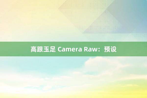高跟玉足 Camera Raw：预设