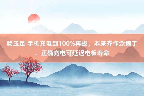 吻玉足 手机充电到100%再拔，本来齐作念错了，正确充电可延迟电板寿命