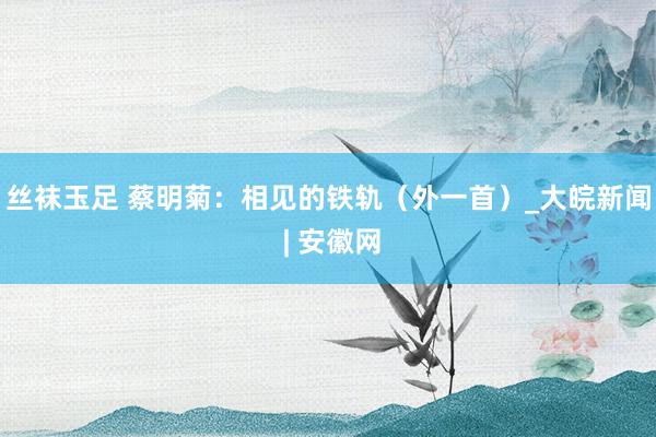丝袜玉足 蔡明菊：相见的铁轨（外一首）_大皖新闻 | 安徽网