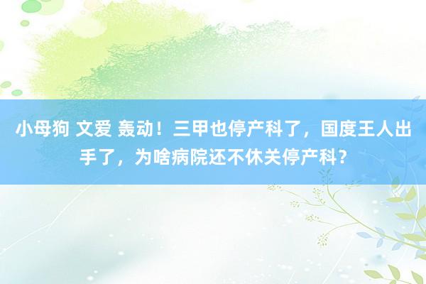 小母狗 文爱 轰动！三甲也停产科了，国度王人出手了，为啥病院还不休关停产科？