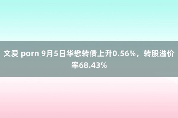 文爱 porn 9月5日华懋转债上升0.56%，转股溢价率68.43%