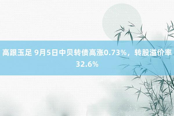 高跟玉足 9月5日中贝转债高涨0.73%，转股溢价率32.6%