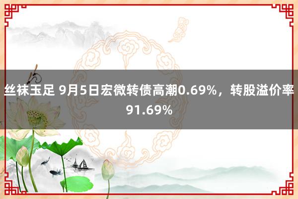 丝袜玉足 9月5日宏微转债高潮0.69%，转股溢价率91.69%