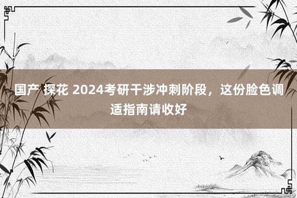 国产 探花 2024考研干涉冲刺阶段，这份脸色调适指南请收好