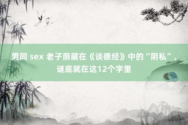 男同 sex 老子荫藏在《谈德经》中的“阴私”，谜底就在这12个字里