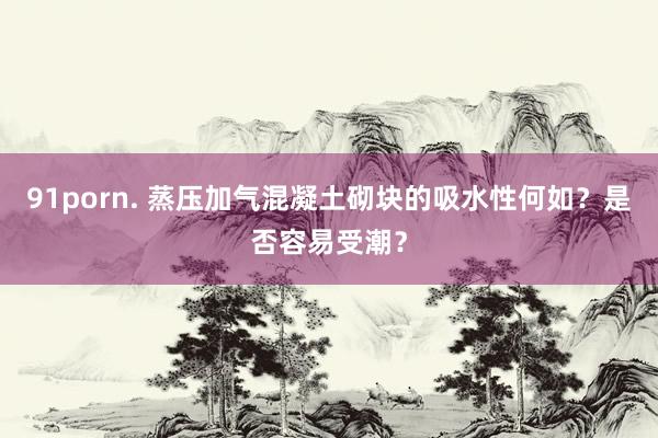 91porn. 蒸压加气混凝土砌块的吸水性何如？是否容易受潮？