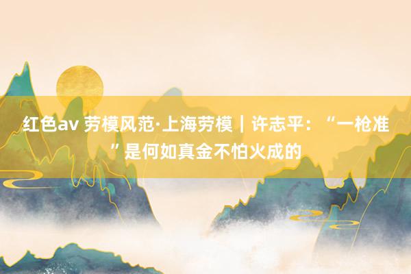 红色av 劳模风范·上海劳模｜许志平：“一枪准”是何如真金不怕火成的