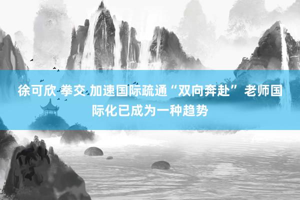 徐可欣 拳交 加速国际疏通“双向奔赴” 老师国际化已成为一种趋势