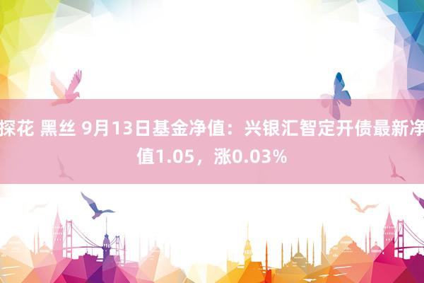 探花 黑丝 9月13日基金净值：兴银汇智定开债最新净值1.05，涨0.03%