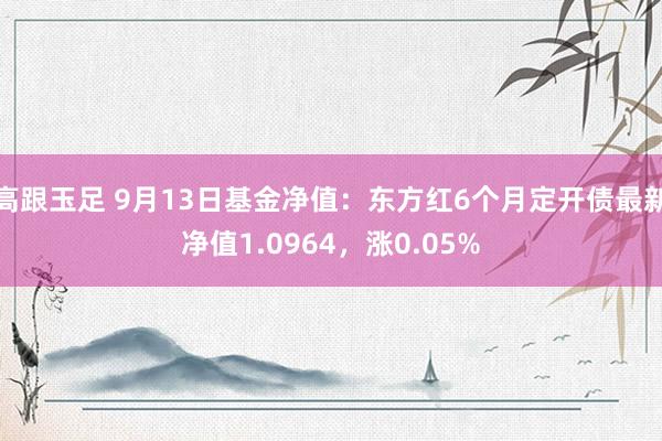 高跟玉足 9月13日基金净值：东方红6个月定开债最新净值1.0964，涨0.05%