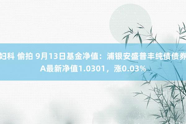 妇科 偷拍 9月13日基金净值：浦银安盛普丰纯债债券A最新净值1.0301，涨0.03%