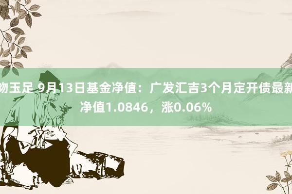 吻玉足 9月13日基金净值：广发汇吉3个月定开债最新净值1.0846，涨0.06%