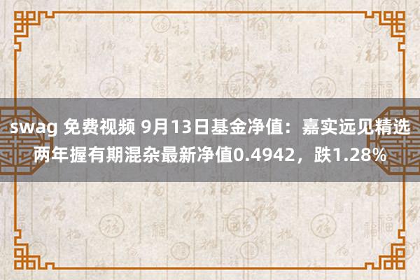swag 免费视频 9月13日基金净值：嘉实远见精选两年握有期混杂最新净值0.4942，跌1.28%