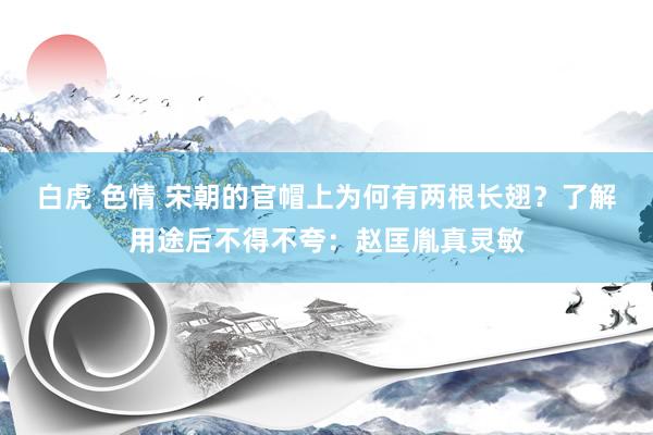 白虎 色情 宋朝的官帽上为何有两根长翅？了解用途后不得不夸：赵匡胤真灵敏