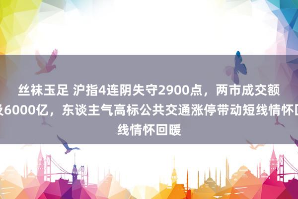 丝袜玉足 沪指4连阴失守2900点，两市成交额不及6000亿，东谈主气高标公共交通涨停带动短线情怀回暖