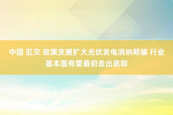 中国 肛交 政策支握扩大光伏发电消纳期骗 行业基本面有望最初走出底部