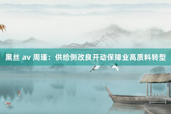 黑丝 av 周瑾：供给侧改良开动保障业高质料转型