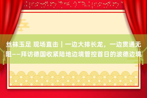 丝袜玉足 现场直击｜一边大排长龙，一边贯通无阻——拜访德国收紧陆地边境管控首日的波德边境