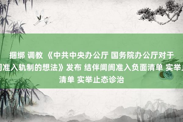 捆绑 调教 《中共中央办公厅 国务院办公厅对于完善阛阓准入轨制的想法》发布 结伴阛阓准入负面清单 实举止态诊治