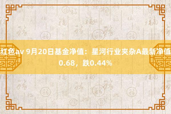 红色av 9月20日基金净值：星河行业夹杂A最新净值0.68，跌0.44%