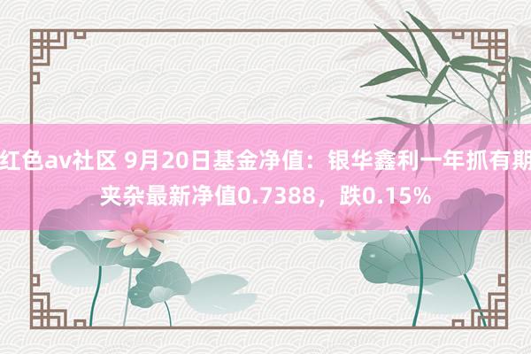 红色av社区 9月20日基金净值：银华鑫利一年抓有期夹杂最新净值0.7388，跌0.15%
