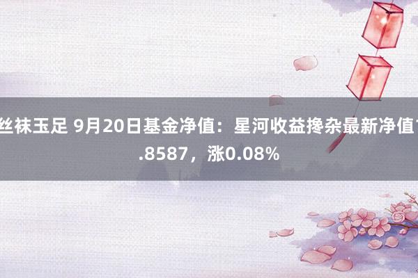 丝袜玉足 9月20日基金净值：星河收益搀杂最新净值1.8587，涨0.08%