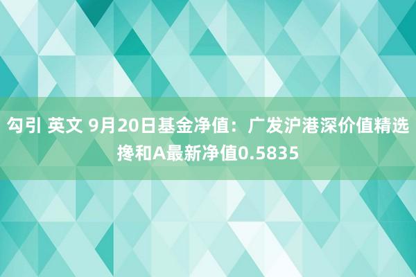 勾引 英文 9月20日基金净值：广发沪港深价值精选搀和A最新净值0.5835