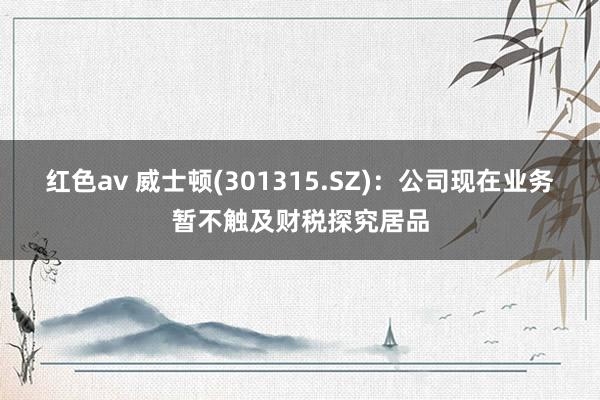 红色av 威士顿(301315.SZ)：公司现在业务暂不触及财税探究居品