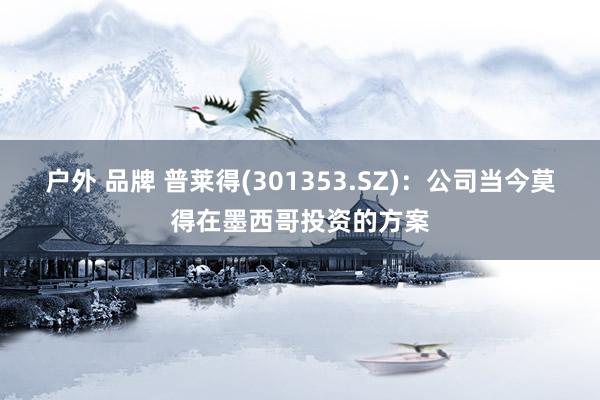 户外 品牌 普莱得(301353.SZ)：公司当今莫得在墨西哥投资的方案