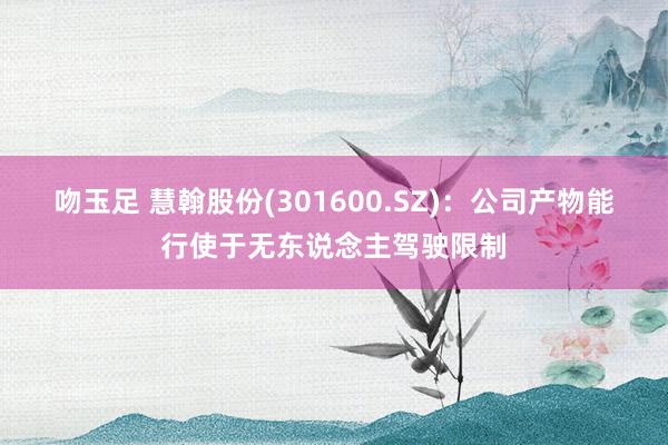吻玉足 慧翰股份(301600.SZ)：公司产物能行使于无东说念主驾驶限制