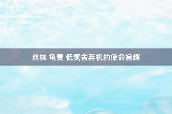 丝袜 龟责 低氮舍弃机的使命旨趣