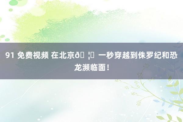 91 免费视频 在北京🦖一秒穿越到侏罗纪和恐龙濒临面!