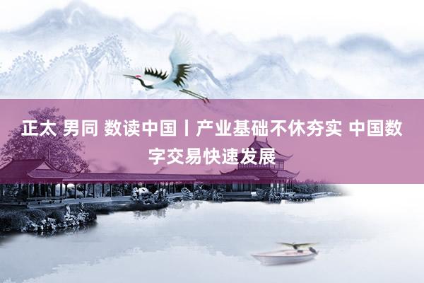 正太 男同 数读中国丨产业基础不休夯实 中国数字交易快速发展