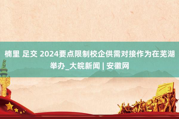 楠里 足交 2024要点限制校企供需对接作为在芜湖举办_大皖新闻 | 安徽网
