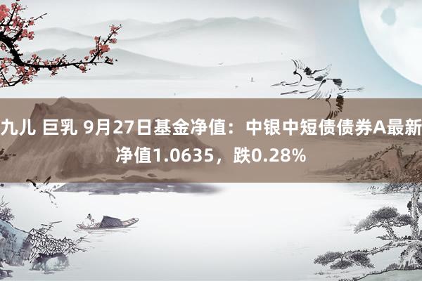 九儿 巨乳 9月27日基金净值：中银中短债债券A最新净值1.0635，跌0.28%