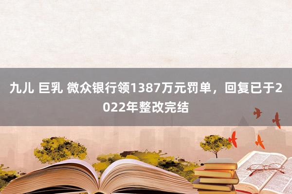 九儿 巨乳 微众银行领1387万元罚单，回复已于2022年整改完结