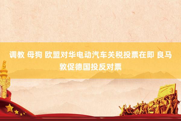 调教 母狗 欧盟对华电动汽车关税投票在即 良马敦促德国投反对票