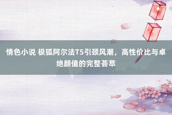 情色小说 极狐阿尔法T5引颈风潮,高性价比与卓绝颜值的完整荟萃
