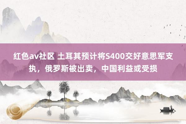 红色av社区 土耳其预计将S400交好意思军支执，俄罗斯被出卖，中国利益或受损
