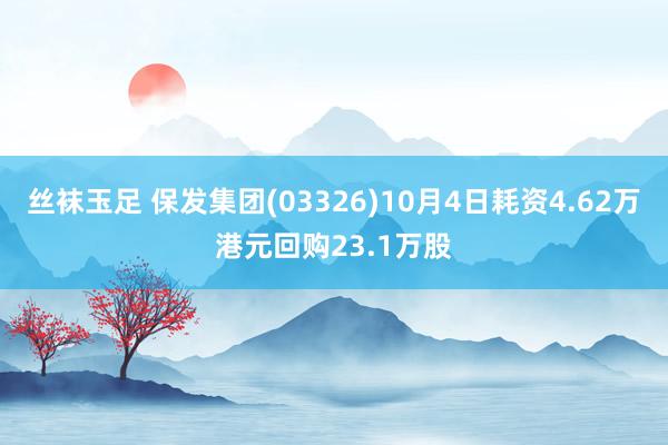 丝袜玉足 保发集团(03326)10月4日耗资4.62万港元回购23.1万股