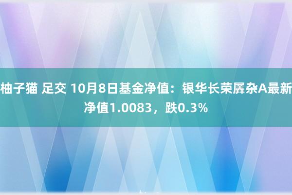 柚子猫 足交 10月8日基金净值：银华长荣羼杂A最新净值1.0083，跌0.3%