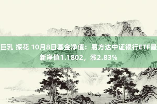 巨乳 探花 10月8日基金净值：易方达中证银行ETF最新净值1.1802，涨2.83%
