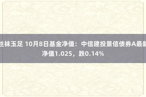 丝袜玉足 10月8日基金净值：中信建投景信债券A最新净值1.025，跌0.14%