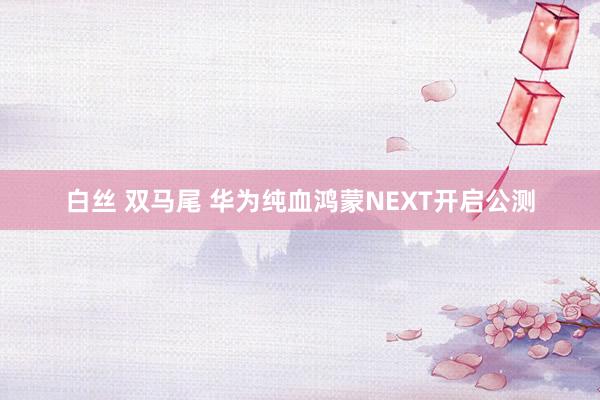 白丝 双马尾 华为纯血鸿蒙NEXT开启公测