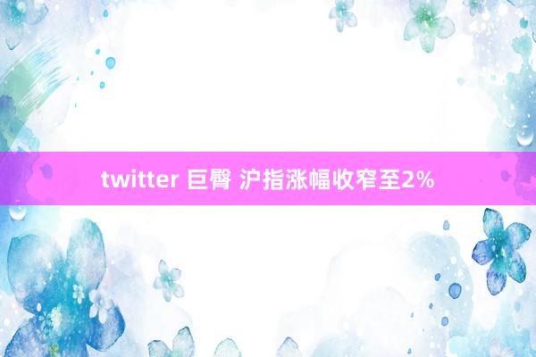 twitter 巨臀 沪指涨幅收窄至2%