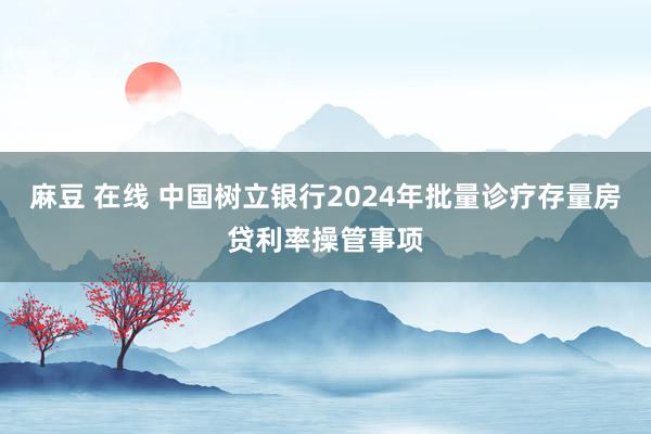 麻豆 在线 中国树立银行2024年批量诊疗存量房贷利率操管事项