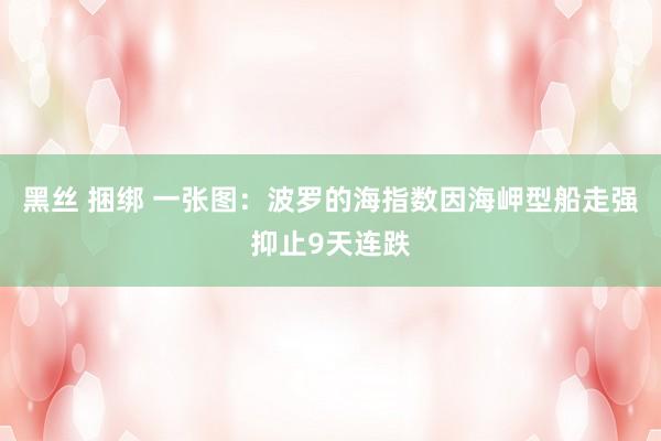 黑丝 捆绑 一张图：波罗的海指数因海岬型船走强抑止9天连跌